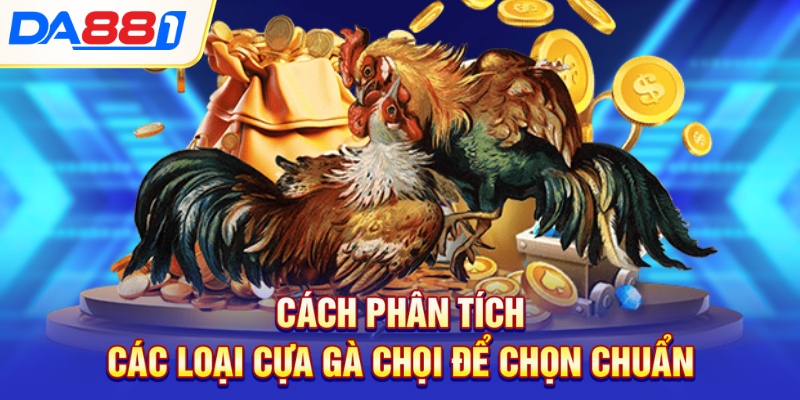 Cách phân tích các loại cựa gà chọi để chọn chuẩn Cách phân tích các loại cựa gà chọi để chọn chuẩn
