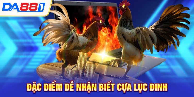 Đặc điểm dễ nhận biết cựa lục đinh Đặc điểm dễ nhận biết cựa lục đinh