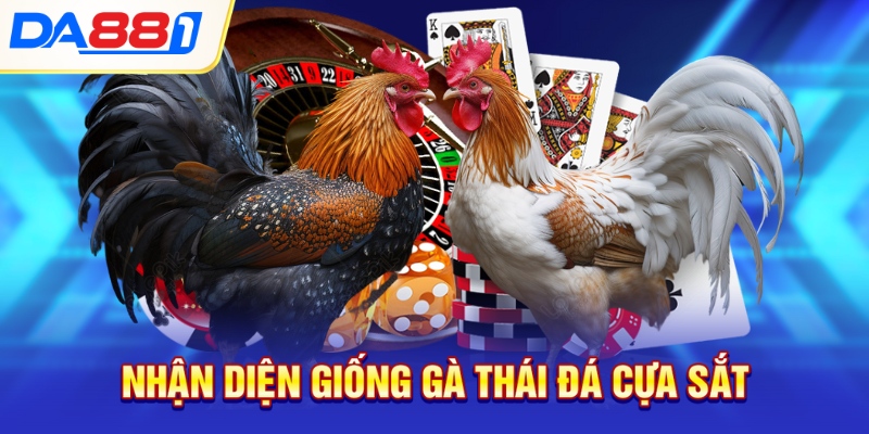 Nhận diện giống gà Thái đá cựa sắt Nhận diện giống gà Thái đá cựa sắt