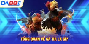 tong quan ve ga tia la gi